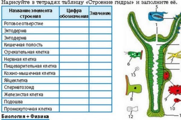 Ссылка кракен официальная тор