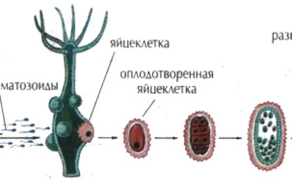 Кракен ссылка онлайн