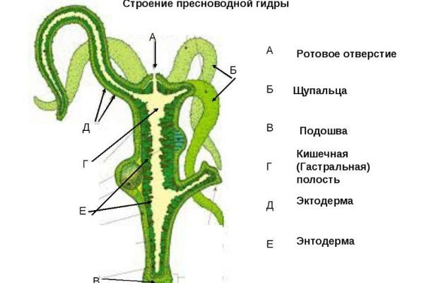 Kraken shop ссылка